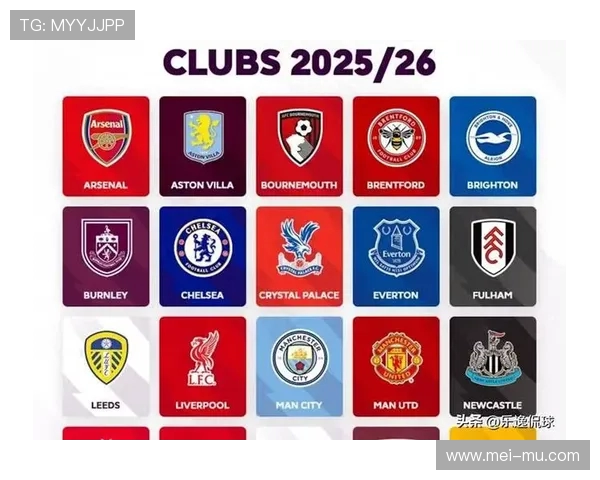 13-14赛季英超球队阵容及赛季表现回顾